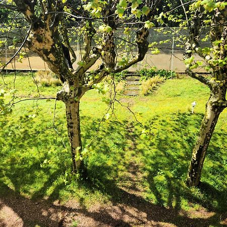 Rillieux-la-Pape Villa Castel Maison-Table D'Hotes & Jardin-Refuge De Biodiversite المظهر الخارجي الصورة